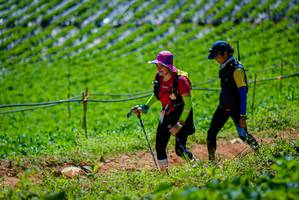 BIB: 
                            <button type="button" onclick="openModal(19164664)" class="btn btn-primary btn-sm float-right btn-popup" data-toggle="modal" data-target=".modal-high-quality">
                        <i class="fas fa-shopping-cart"></i> Add to Cart
                    </button>
                                            <button type="button" onclick="isThisMe(19164664, true)" class="btn btn-success btn-sm float-right btn-popup btn-isme hidden" data-toggle="tooltip" data-placement="bottom" title="นี่คือรูปของคุณใช่ไหม คลิกที่นี่เพื่อเอาเข้าอัลบั้ม">
                        <i class="fas fa-plus"></i> Add to album
                    </button>
                    <button type="button" onclick="isThisMe(19164664, false)" class="btn btn-warning btn-sm float-right btn-popup btn-isnotme hidden">
                        <i class="fas fa-ban"></i> Remove from album
                    </button>